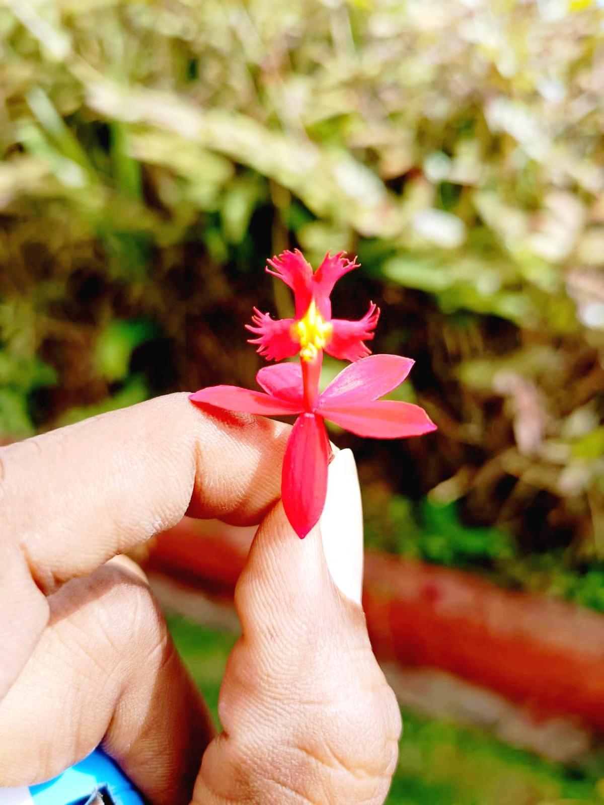Kodai Riya Paradise Kodaikanal Dış mekan fotoğraf