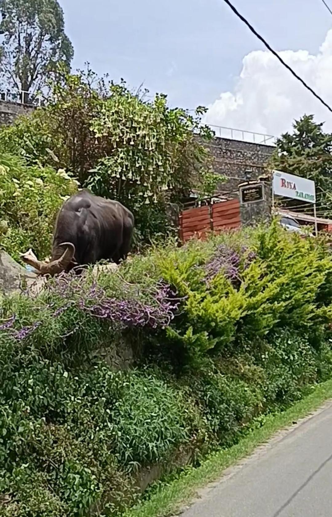 Kodai Riya Paradise Kodaikanal Dış mekan fotoğraf